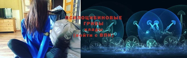 МДПВ Гусев