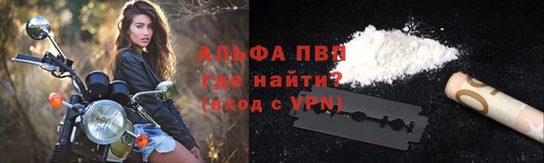 амф Гусиноозёрск