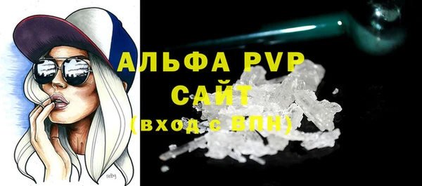 амф Гусиноозёрск