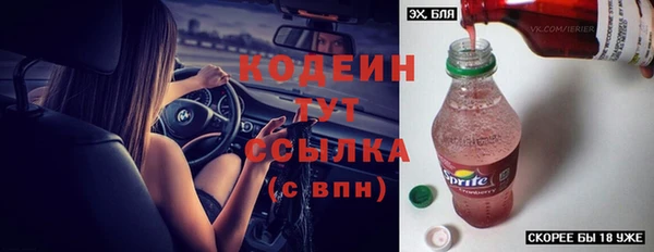 амф Гусиноозёрск