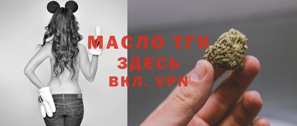 МДПВ Гусев