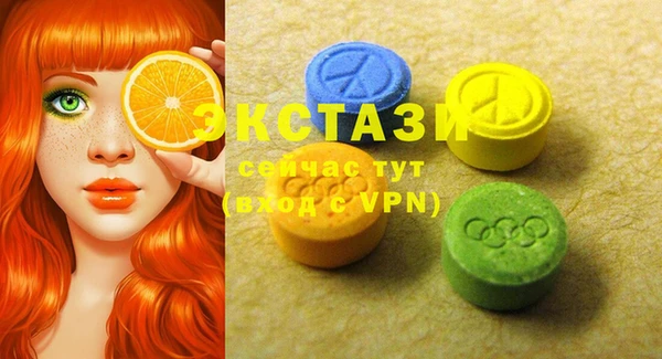 амф Гусиноозёрск