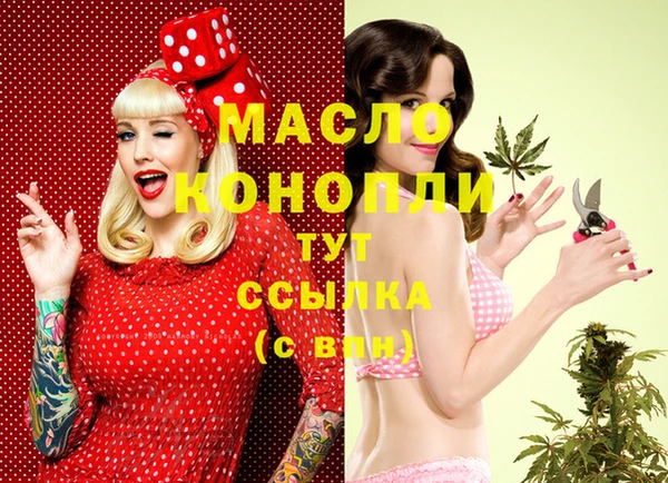 МДПВ Гусев