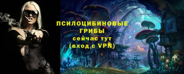 МДПВ Гусев