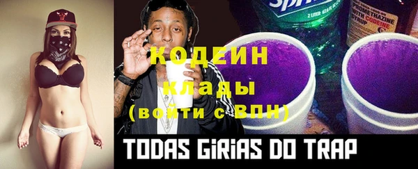 МДПВ Гусев