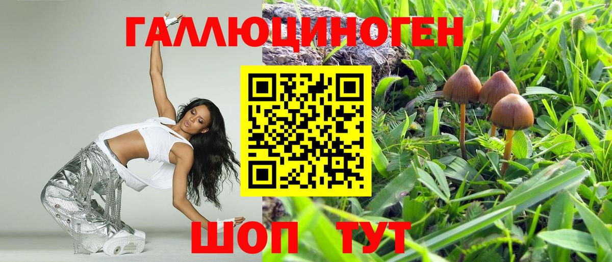 Галлюциногенные грибы GOLDEN TEACHER Заринск