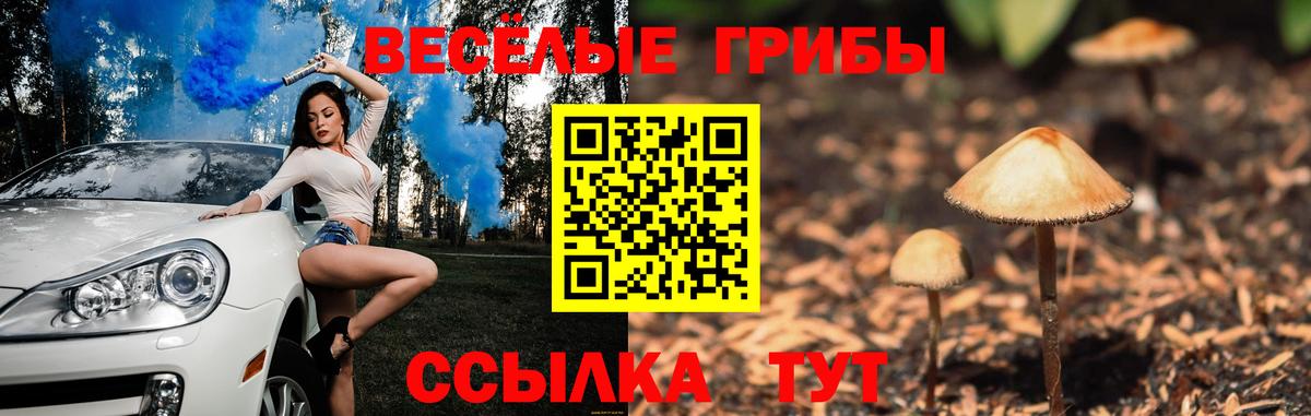 Псилоцибиновые грибы ЛСД Заринск