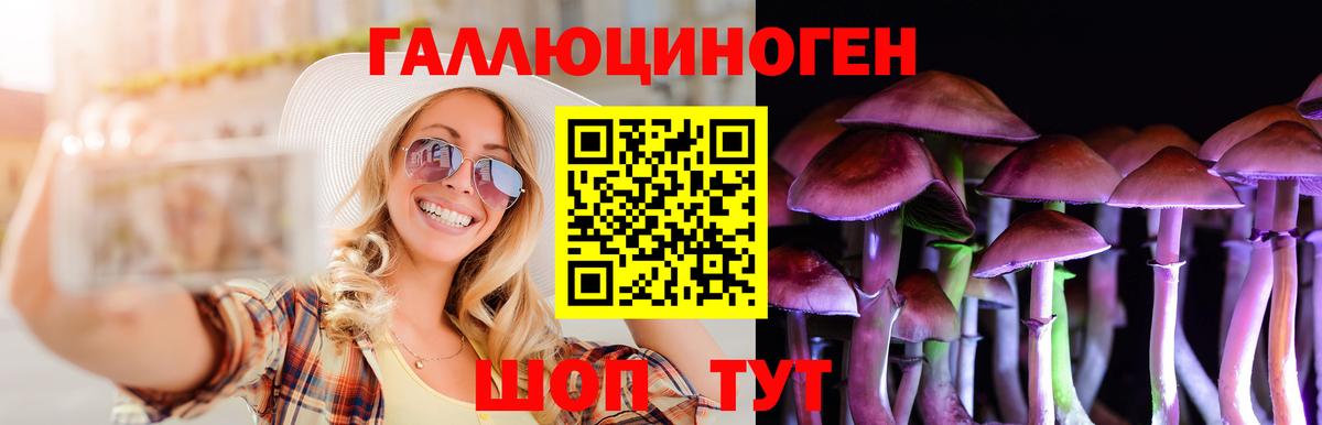 Заринск  Псилоцибиновые грибы MAGIC MUSHROOMS  Вход с VPN 